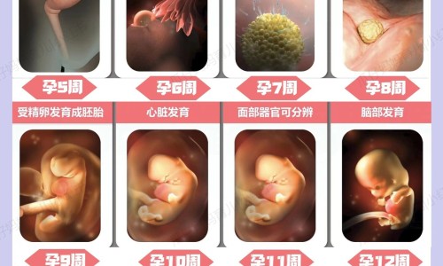 怀孕初期感冒 睡觉出汗多-怀孕初期感冒 睡觉出汗网孕期感冒出汗对胎儿有影响吗知识网站,分享孕妇感冒出汗是怎么回事大全